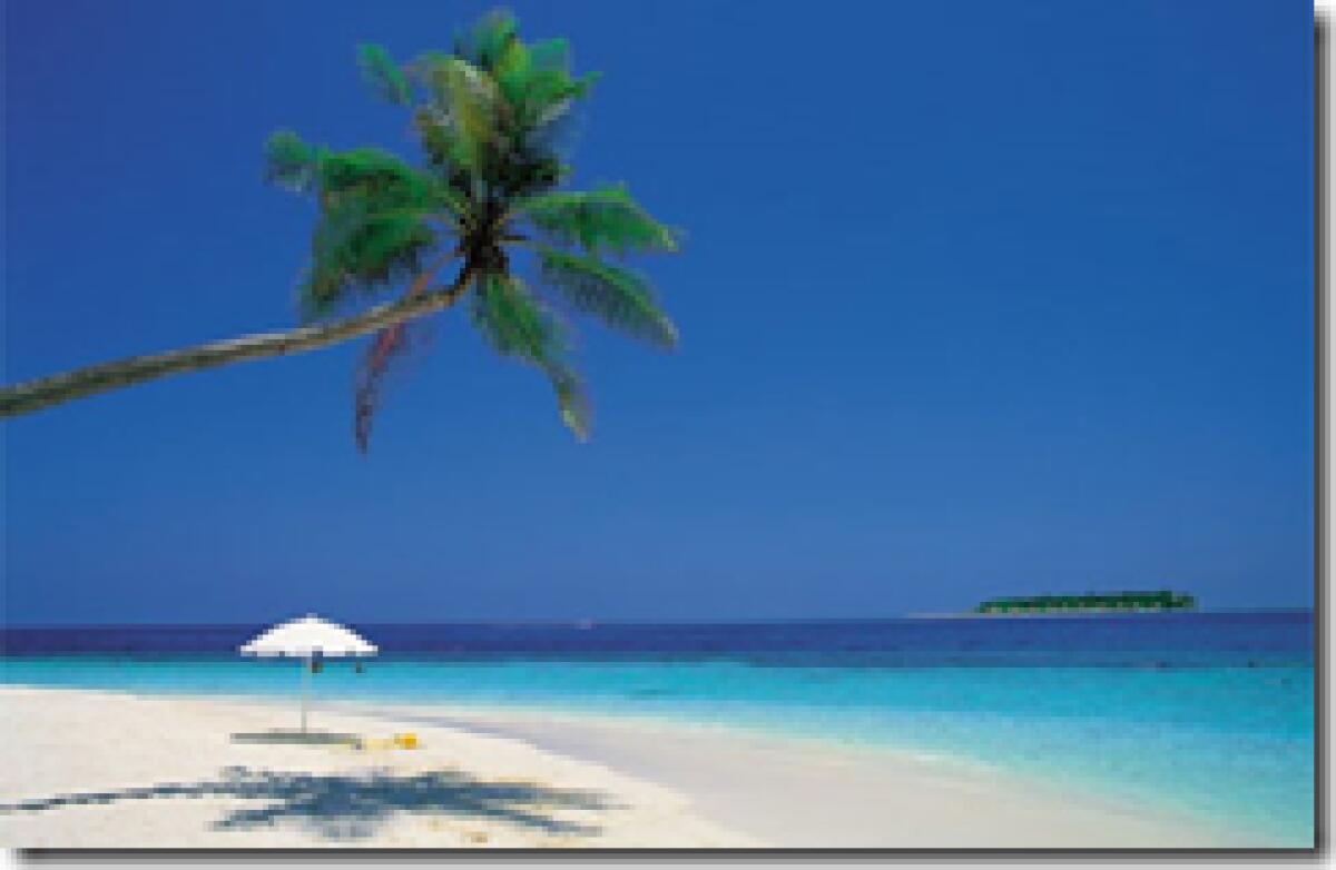 Mobile Internet: quale la migliore promozione per navigare da cellulare? Focus on: Vodafone - 