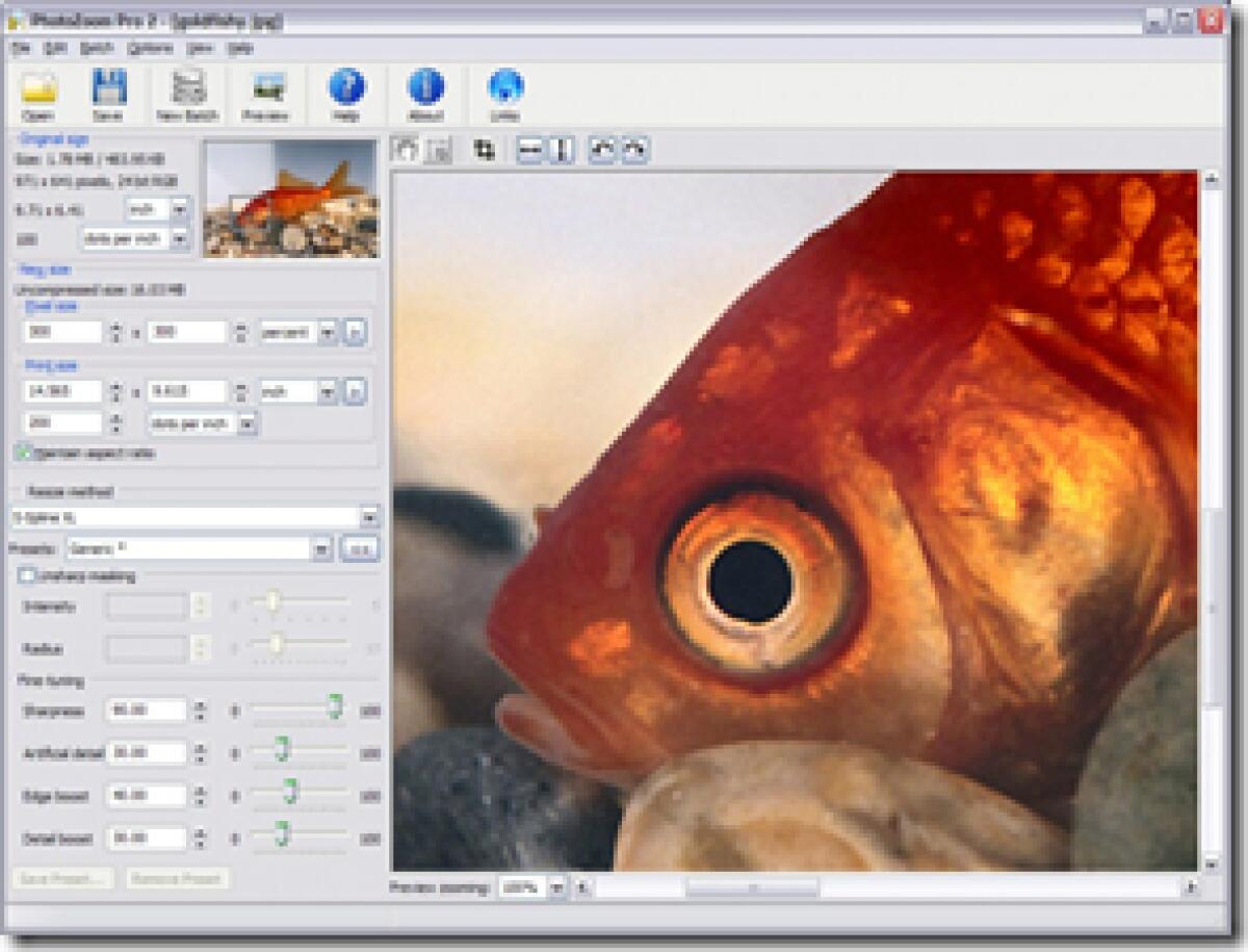 Photo Zoom Pro: zoomare immagini senza sgranare - 