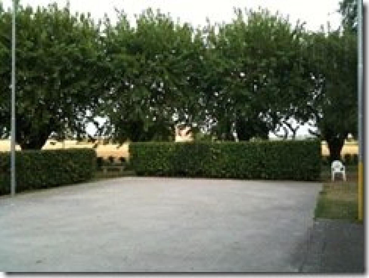 iPhone 3Gs: test foto e video - 