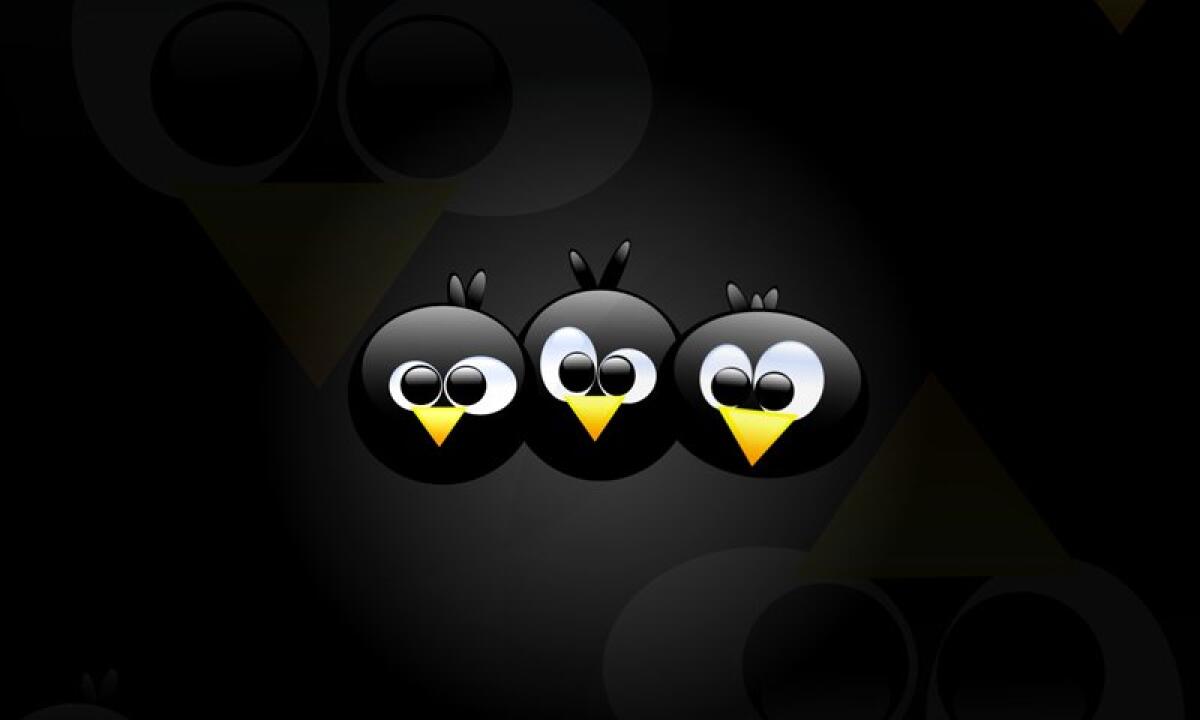 Sfondi e WallPaper gratis per Nokia N900 - 