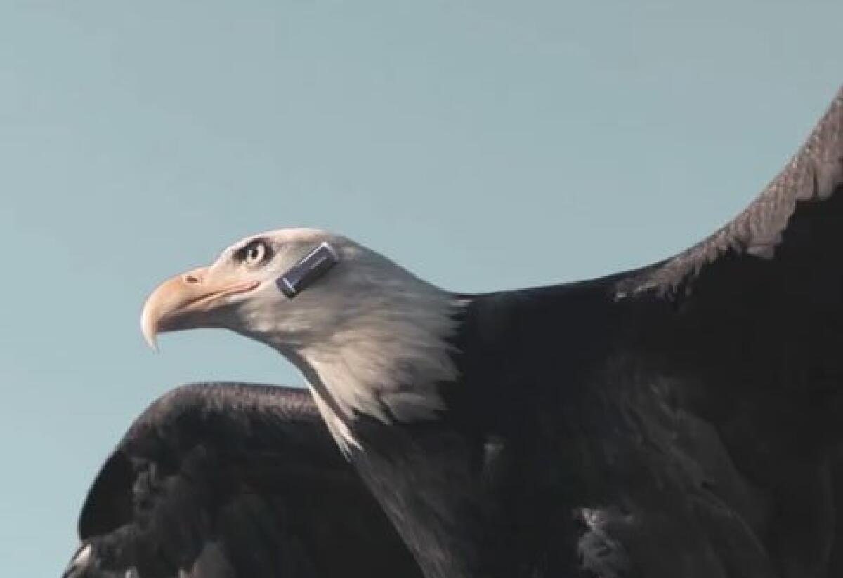 Auricolare Bluetooth Samsung – Divertente Video Virale - 