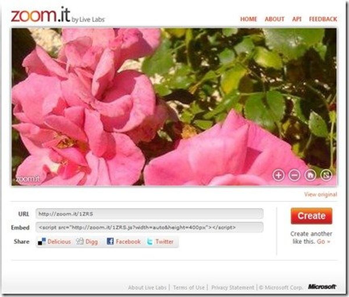 Zoomare ed ingrandire le immagini senza perdere qualità con Zoom.it - 