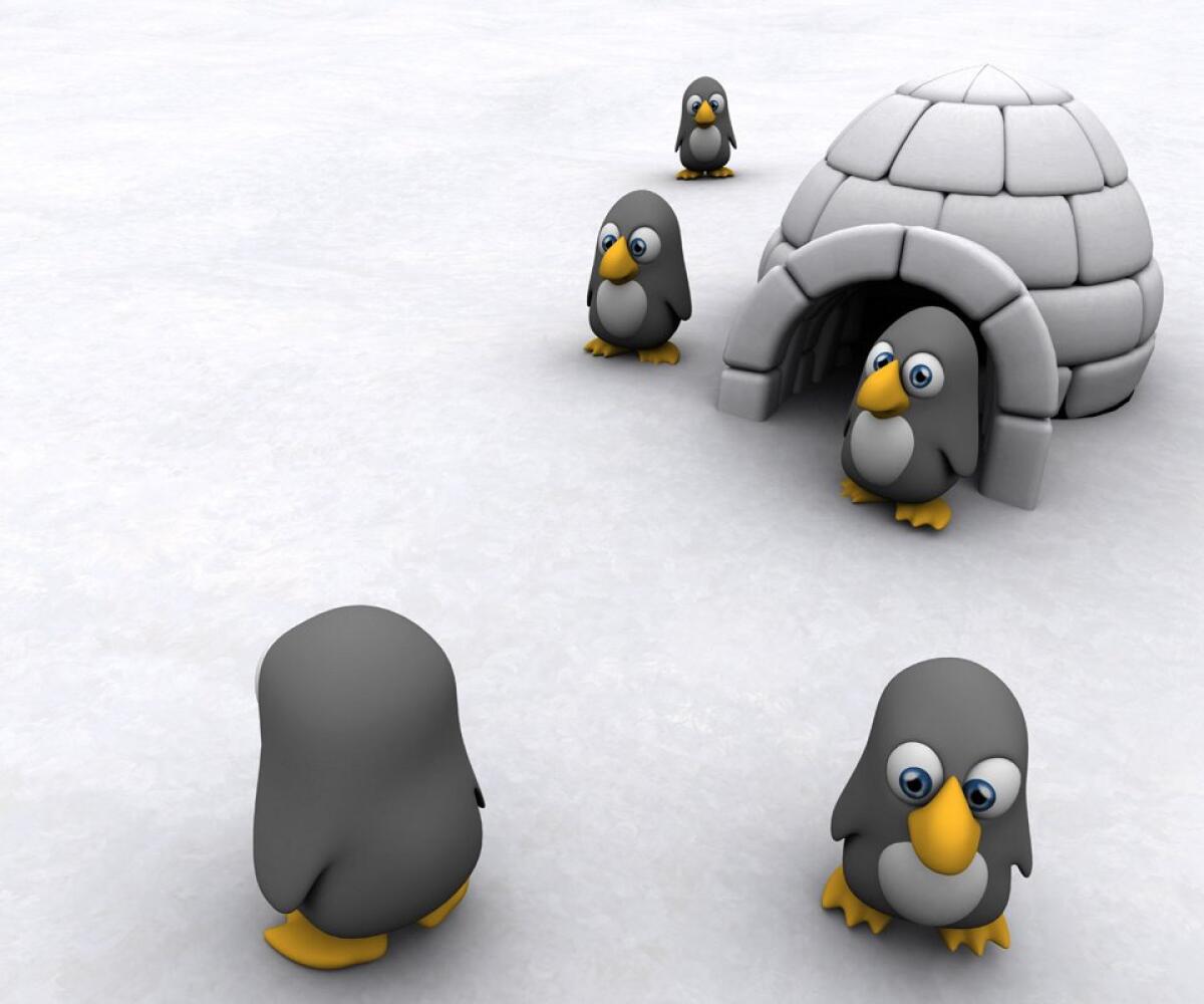 Penguins: Sfondi e Wallpaper Gratis per Android #7 - 