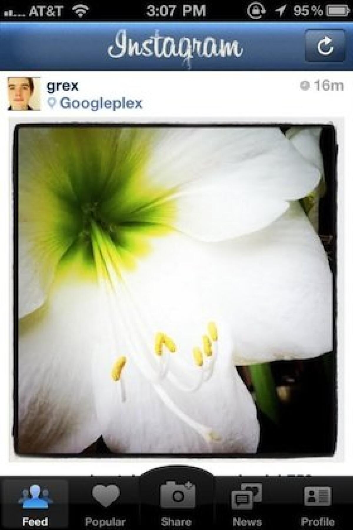 Instagram in arrivo anche su Android - 