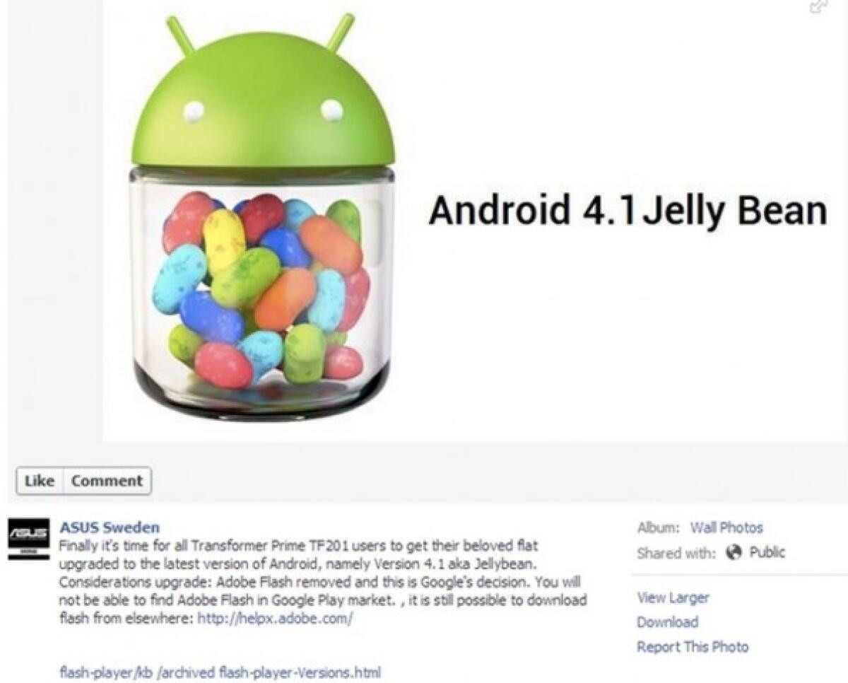 Android Jelly Bean per Asus Transformer Prime e altri tablet Asus - 