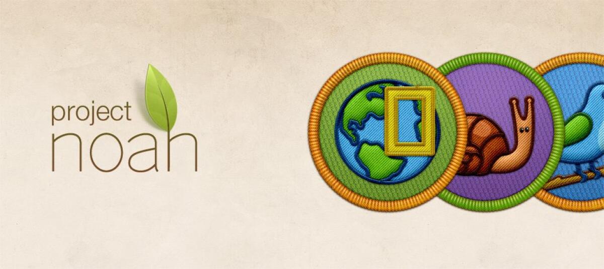 Project Noah la vetrina dei progetti di ricerca aperti a tutti - 