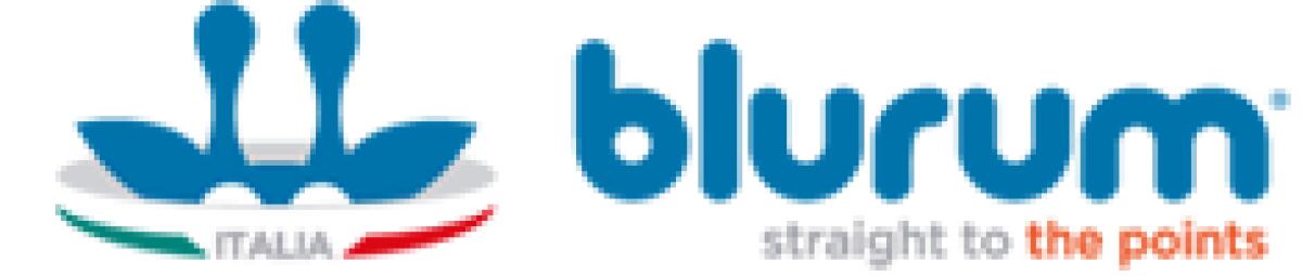 Blurum: Come guadagnare on-line con le proprie ricerche e i siti visitati aggiudicandosi ricchi premi Hi-Tech! - 