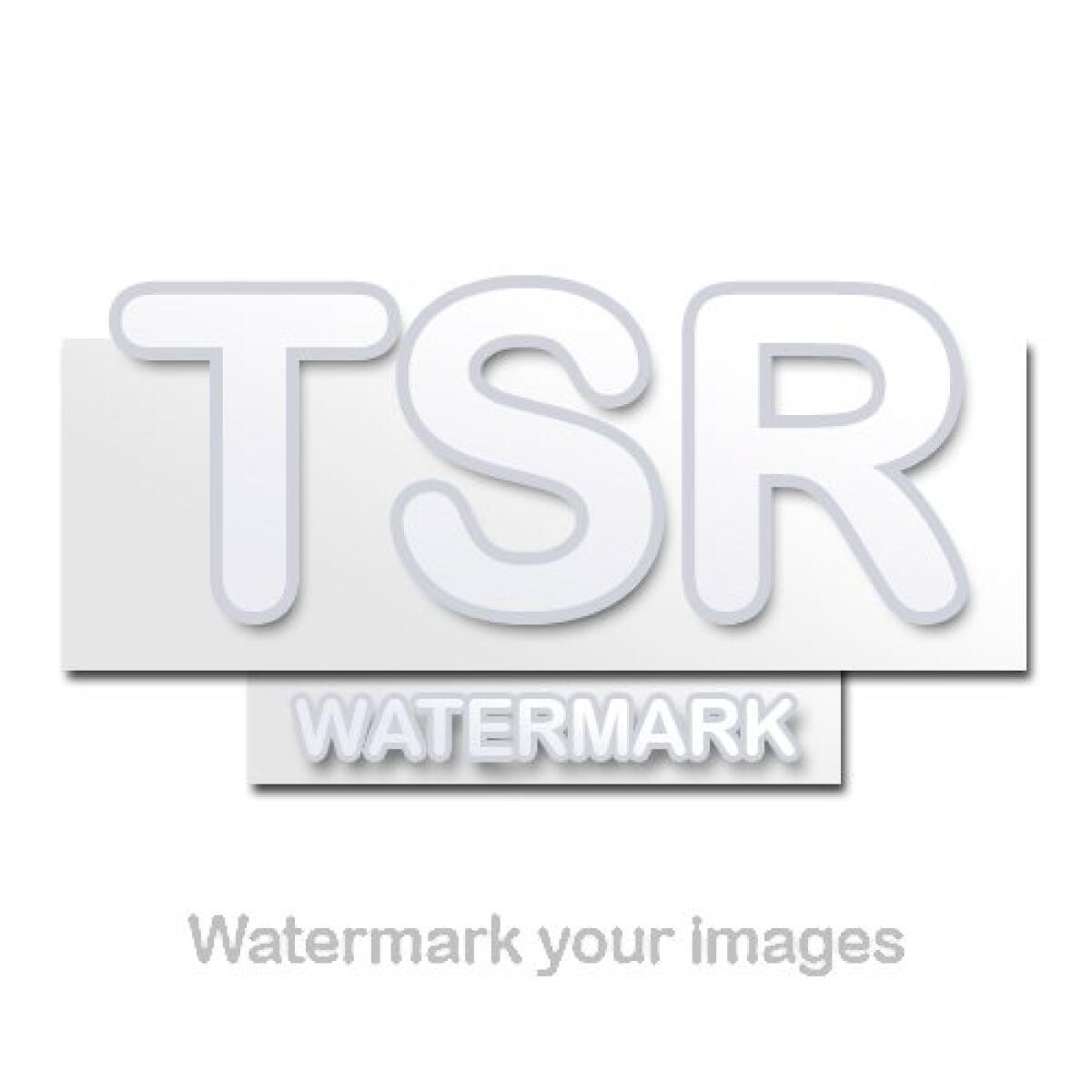 Aggiungere logo e watermark alle foto con TSR Watermark Image Software - 