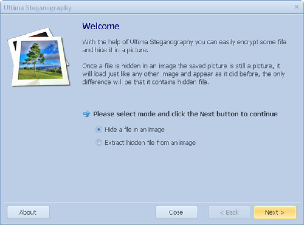 Ultima Steganography 1.7: Gratis uno dei migliori programmi per Criptare e Nascondere File dentro Immagini - 