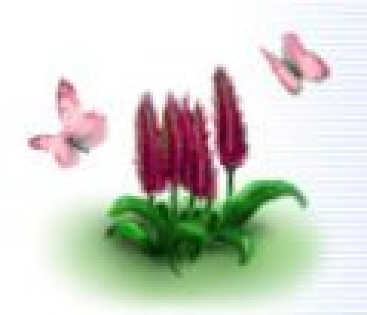Flower Clock 3D Screensaver con Licenza: ScreenSaver Floreale con spettacolari Effetti Primaverili - 