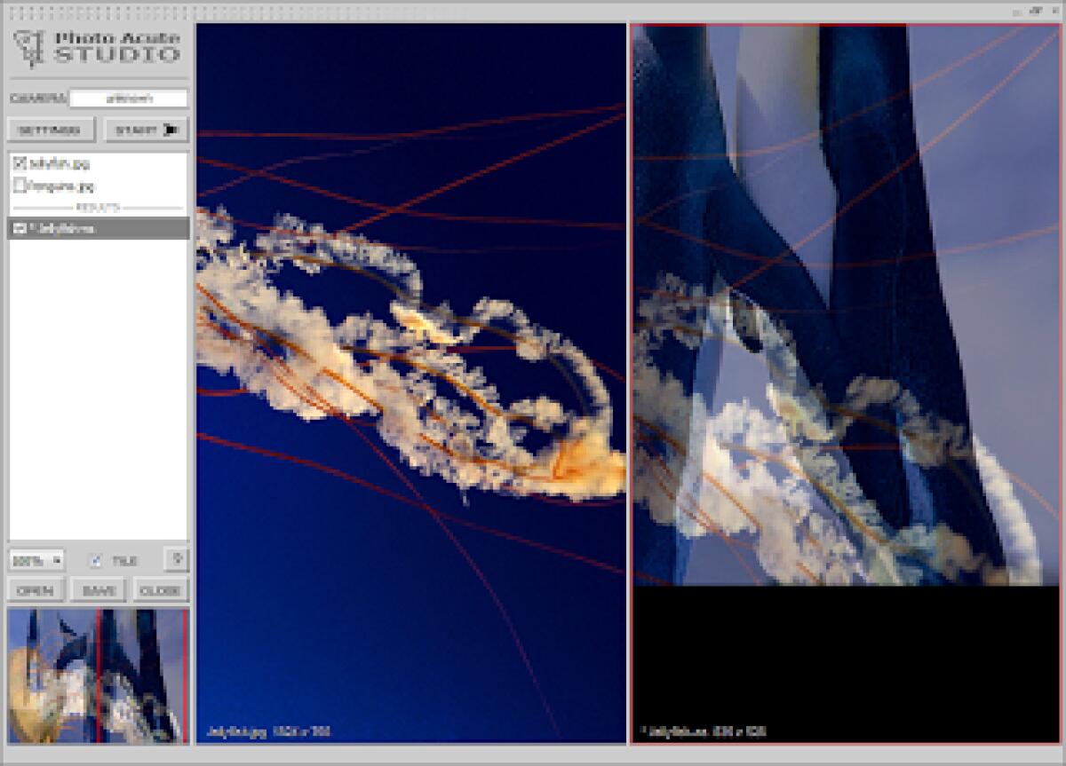 PhotoAcute Studio 2.96 Gratis con Licenza: Crea spettacolari effetti dall'unione di più foto in una sola [Windows e MAC] - 