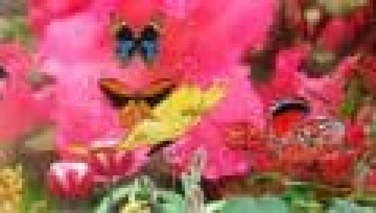 Meadows 3D Screensaver and Wallpaper Gratis con Licenza: Bellissimo ScreenSaver con Giardini Colorati, Farfalle e Fiori - 