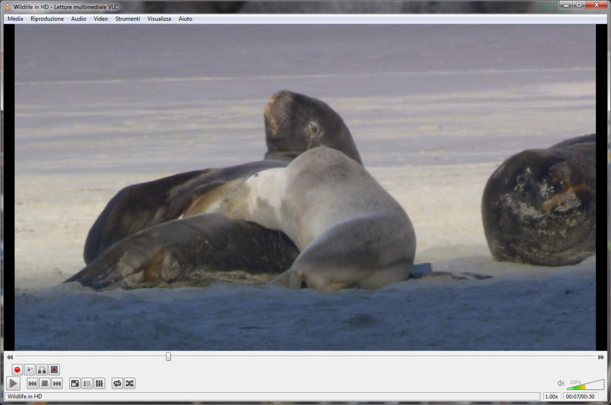 Programmi Portable per Windows: VLC Media Player v2.2.0.20130825 (Portable) - 