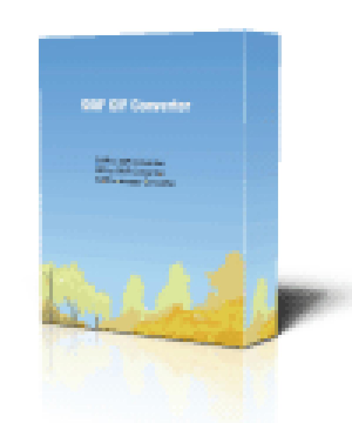 SWF to GIF Converter 4.0 Gratis: Convertire Video in Flash SWF in GIF animate [Windows App] - 