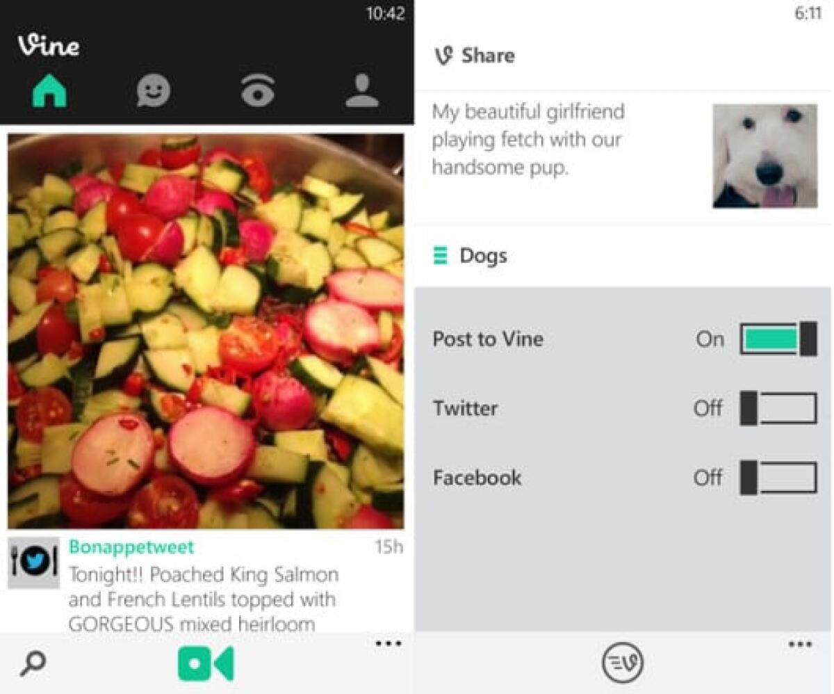 Download Vine per Windows Phone - 