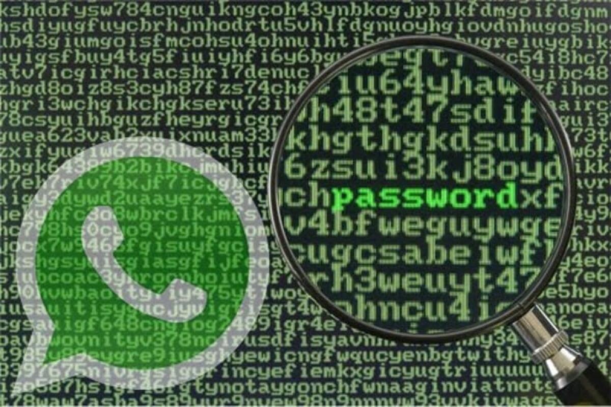 WhatsApp da fantasmi: ecco come entrare in WhatsApp in modalità invisibile su Android - 