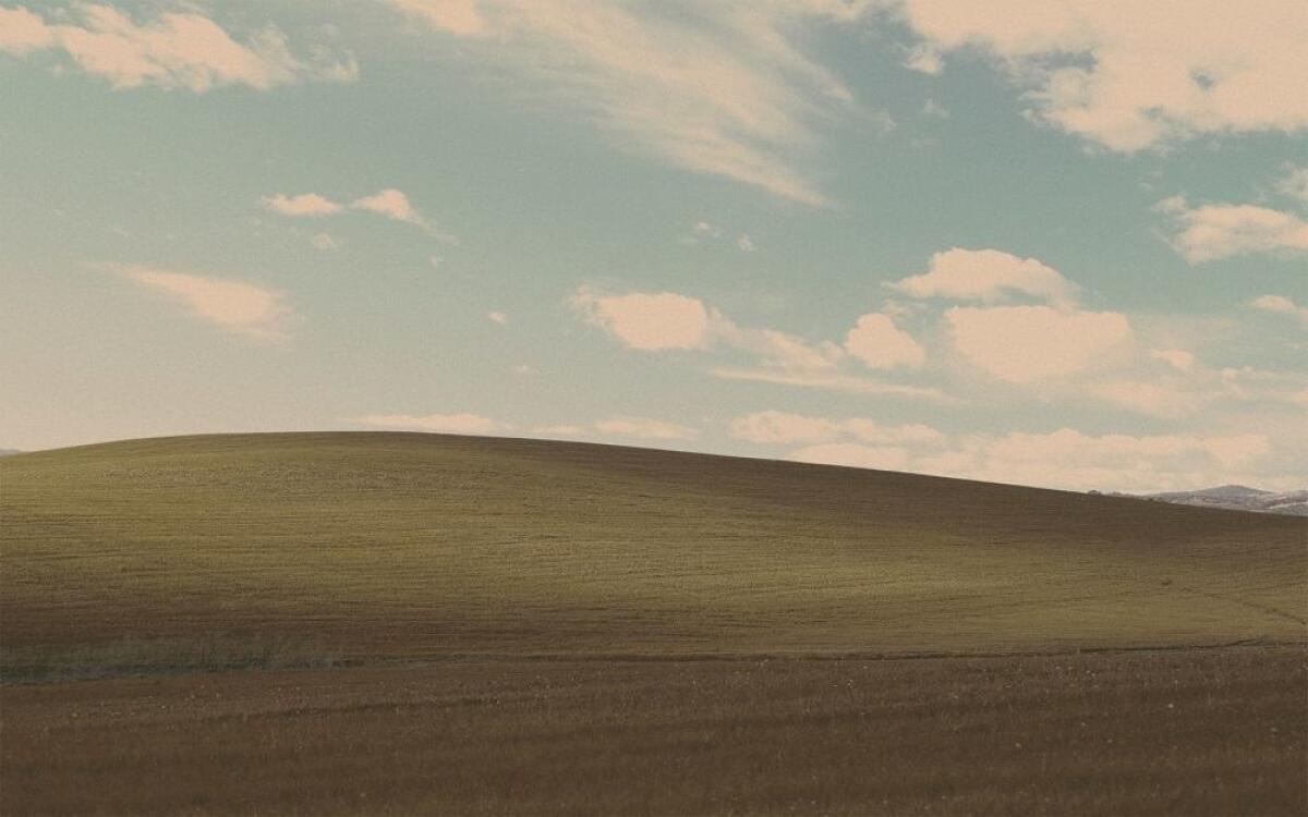 Posso continuare a usare Windows XP dopo l'8 Aprile 2014? - 