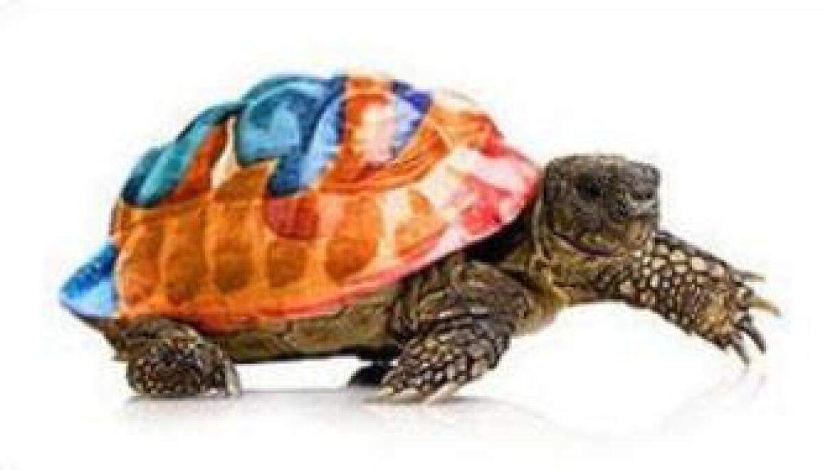 Firefox Lento? E' colpa di AdBlock e di un Bug di Firefox - 