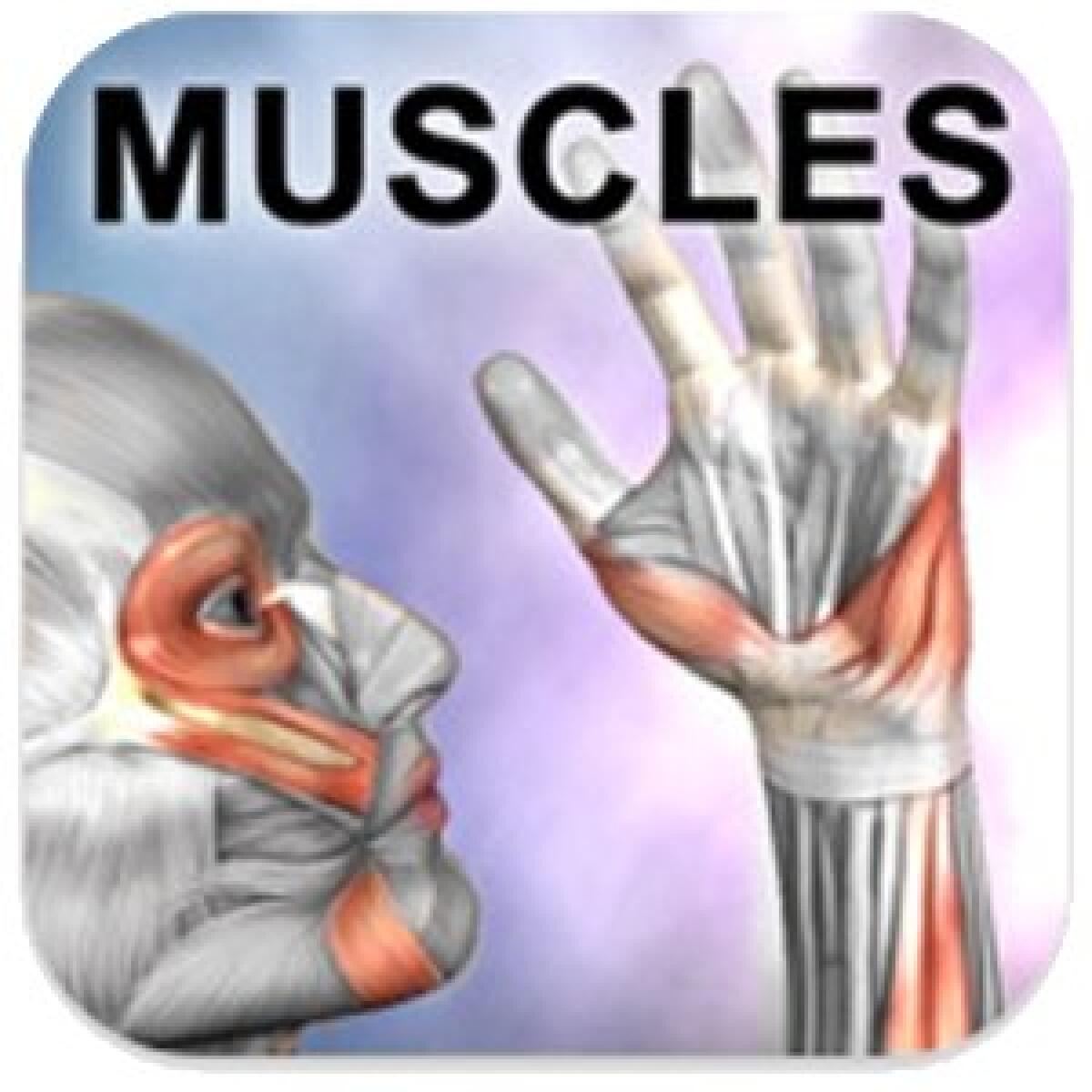 Download Learn Muscles: Anatomy Gratis da Amazon App Shop per Android - 