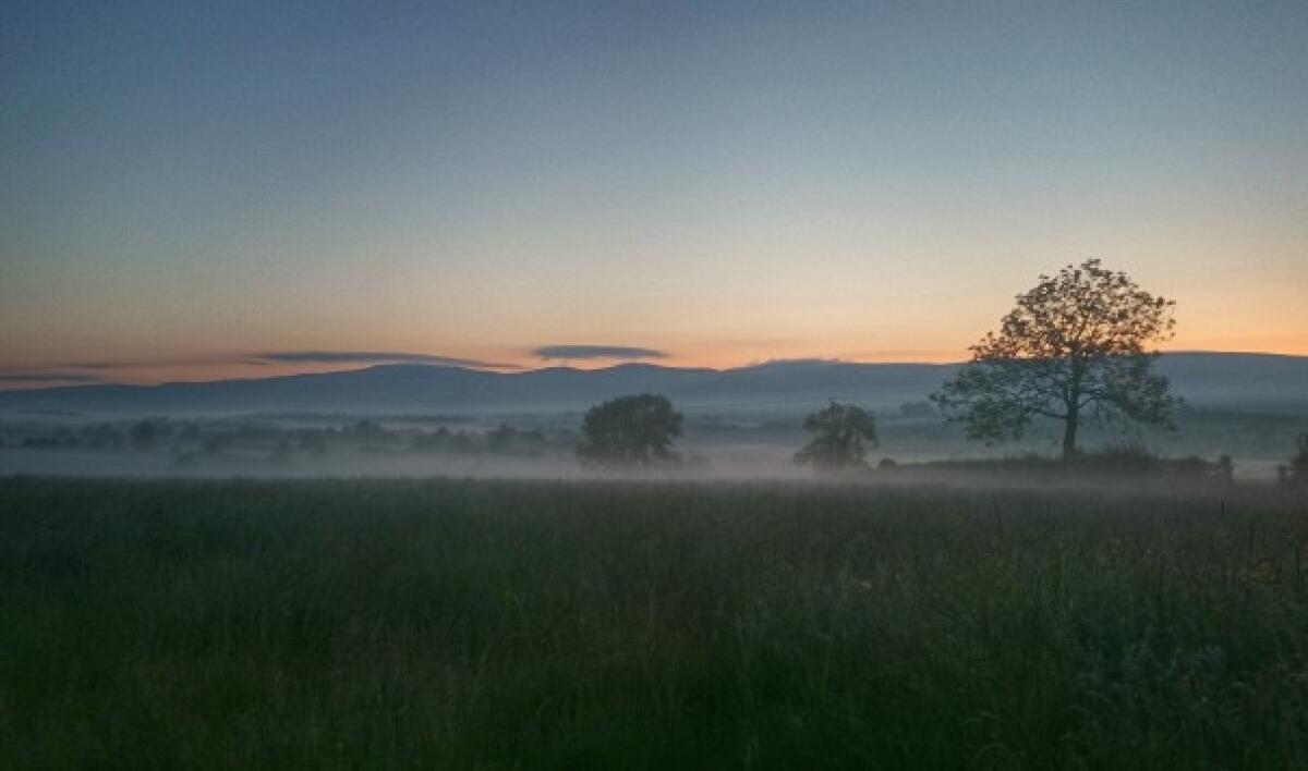 7 consigli per scattare foto perfette con lo smartphone - 