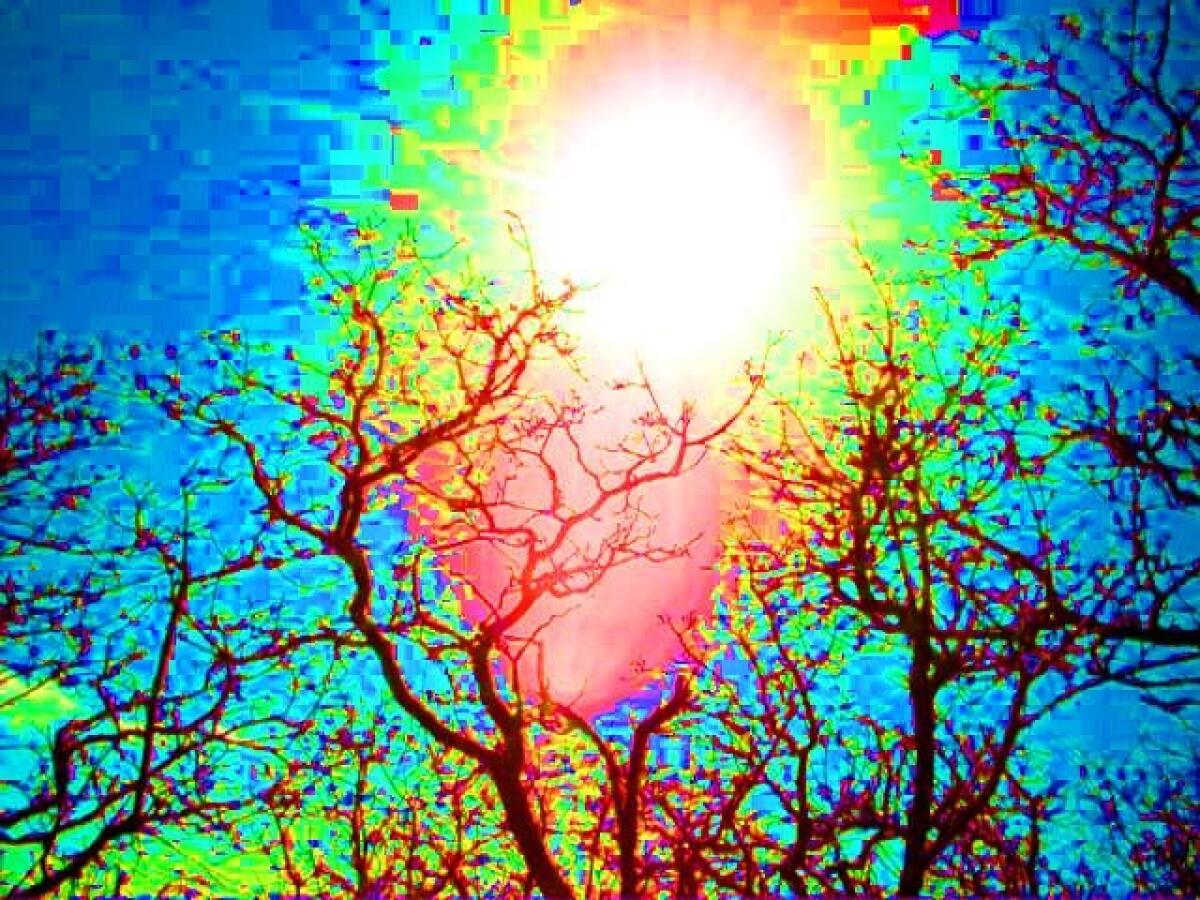 Come avere l'effetto dell'LSD senza rischio per una brevissima durata | VIDEO - 