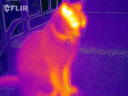 Flir One: Una termocamera a portata di iPhone