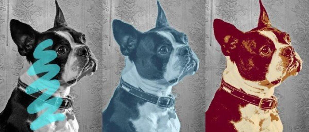 Pixlr: alternativa a Photoshop per Windows e Mac facilissima da usare - 