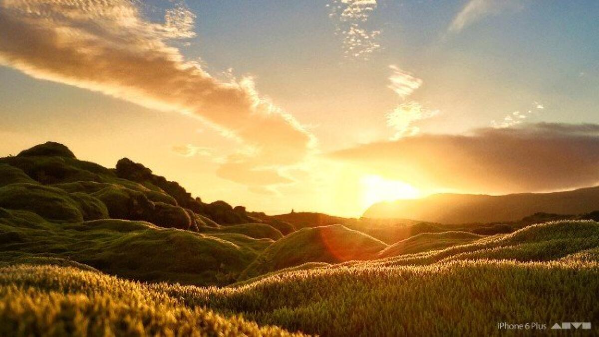 Come scatta le foto l'iPhone 6 ed iPhone 6 Plus? Ecco i primi test sul campo - 