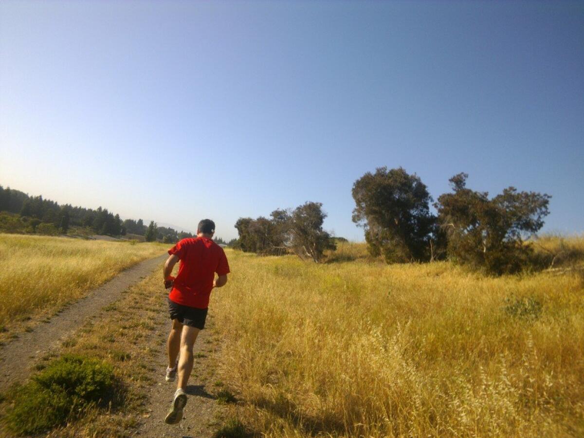 Google Fit sbarca ufficialmente sul Play Store: Monitorare la nostra attività fisica su Android - 