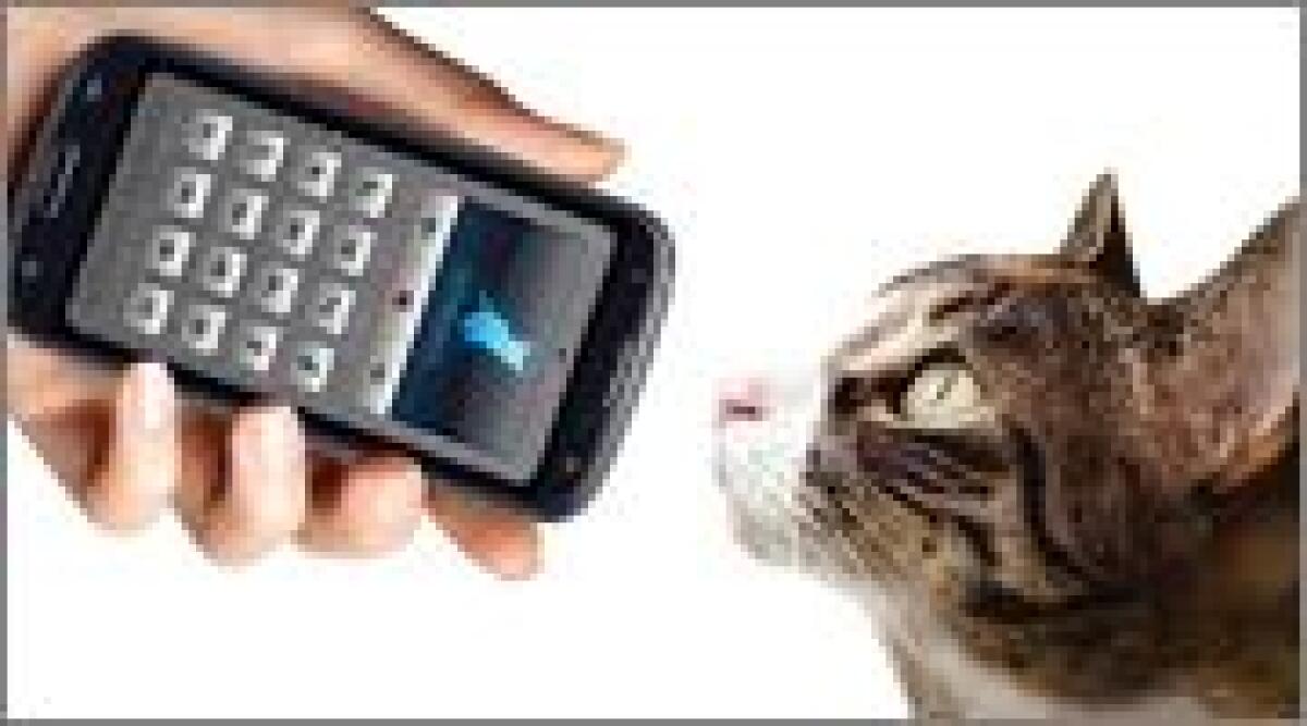 Traduci le tue parola nella lingua dei gatti con Human to Cat Translator per Android - 