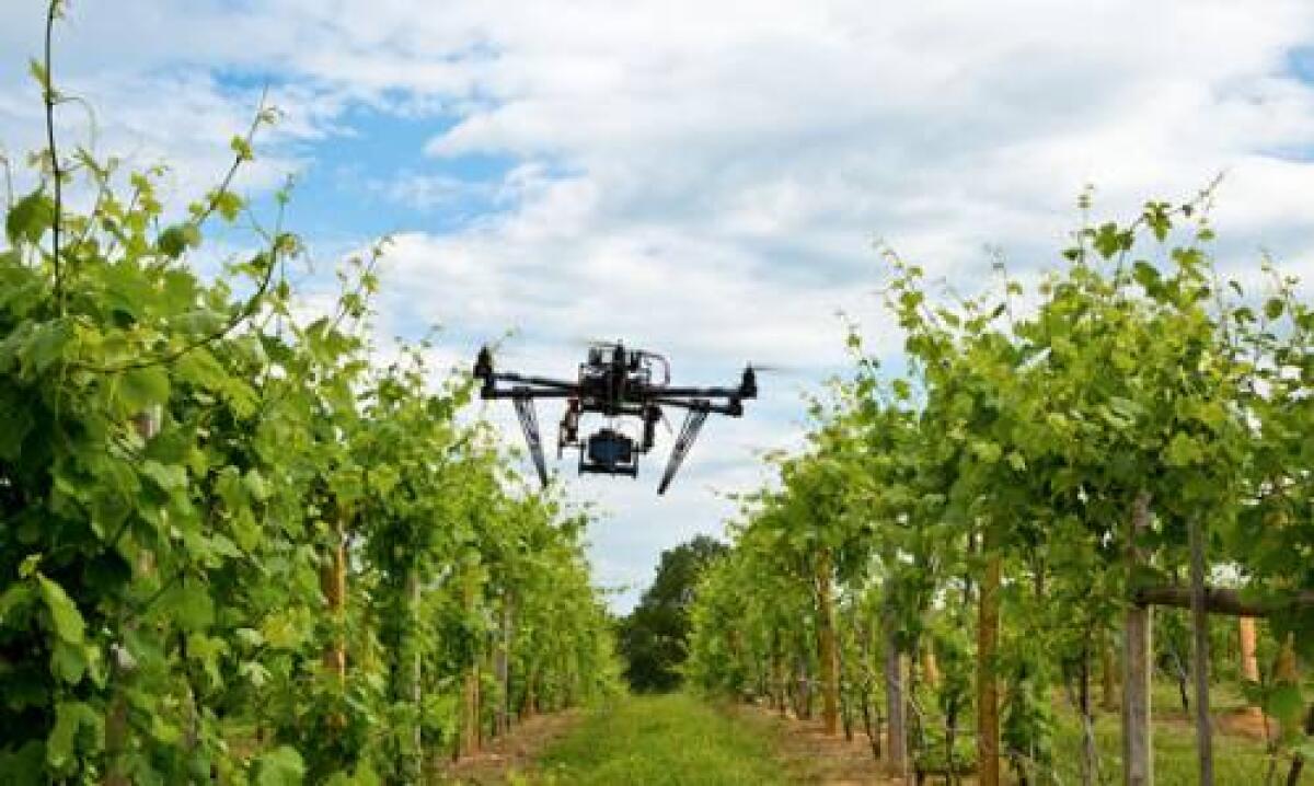 Il futuro dei Droni: Aiuteranno l'agricoltura ma permetteranno anche di divertirsi - 