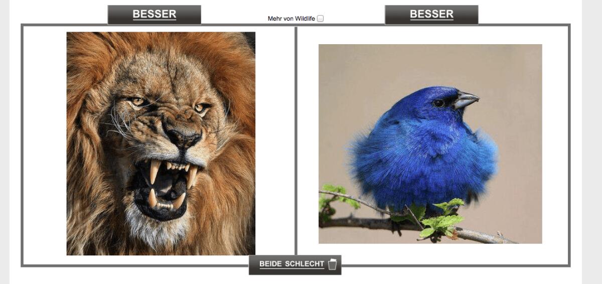 WhitePinsPlus: Ecco come impostare i pagamenti per Massimizzare gli Incassi! - 