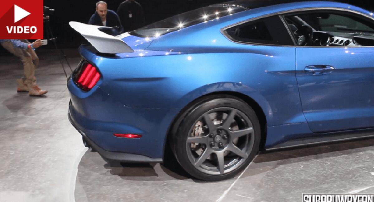 Ford Mustang Shelby GT350R: Un ruggente bolide da 500 CV...Video - 