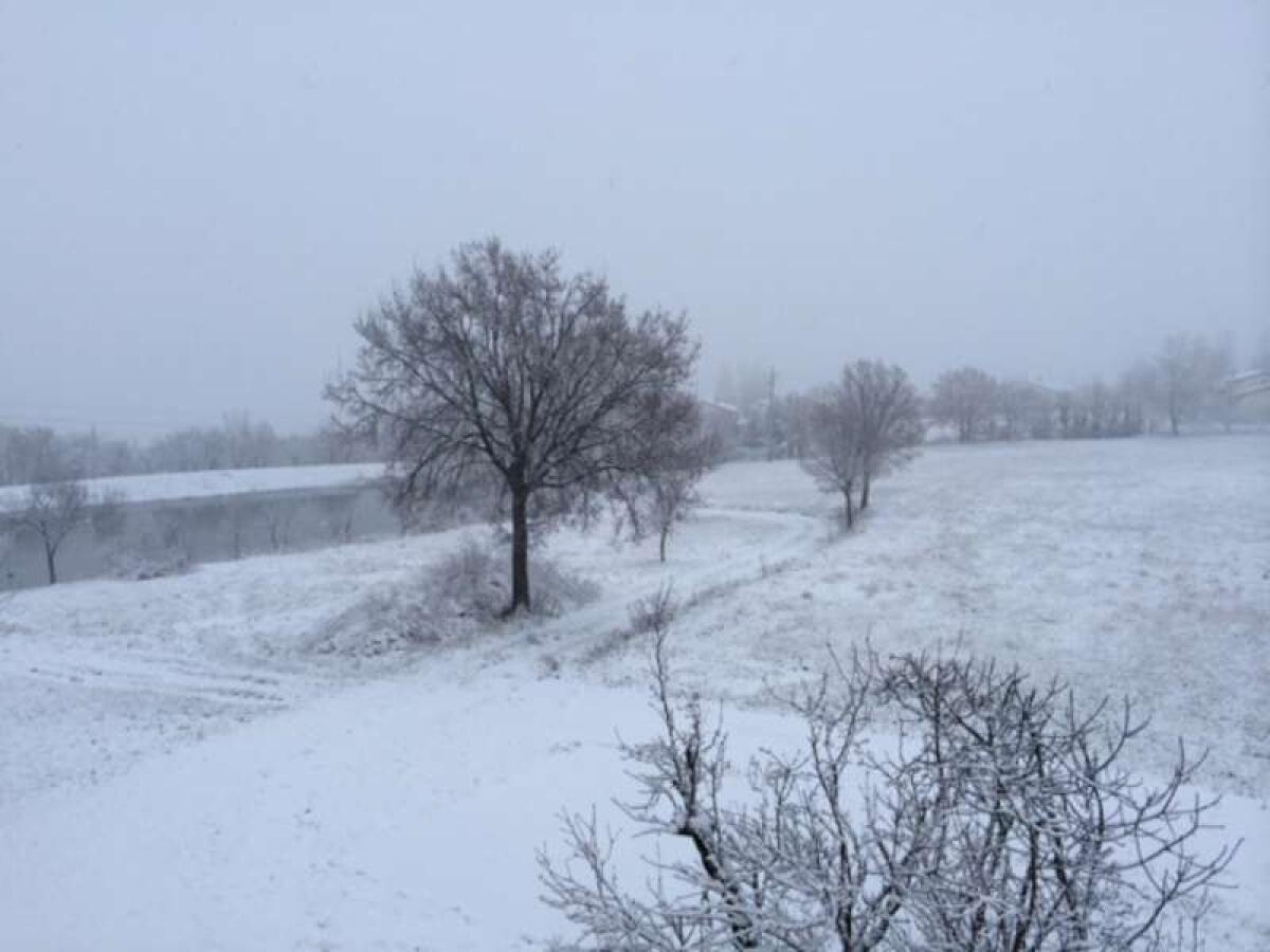 Neve a Torino, Milano, Brescia, Bologna | Difficoltà per ferrovie e autostrade! - 