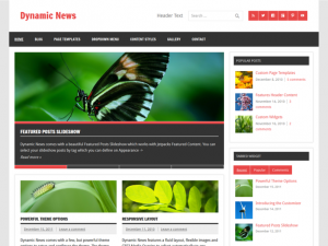Migliori Temi Wordpress Gratis - Dynamic News Lite