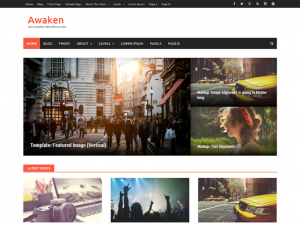 Migliori Temi Wordpress Gratis - Awaken