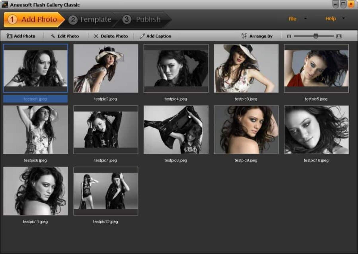 Creare gallerie di foto con effetti grazie a Aneesoft Flash Gallery Classic - 