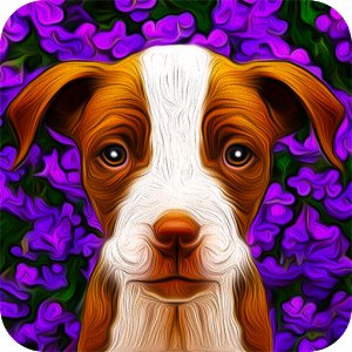 Download Dogistry Gratis da Amazon App Shop per Android - 