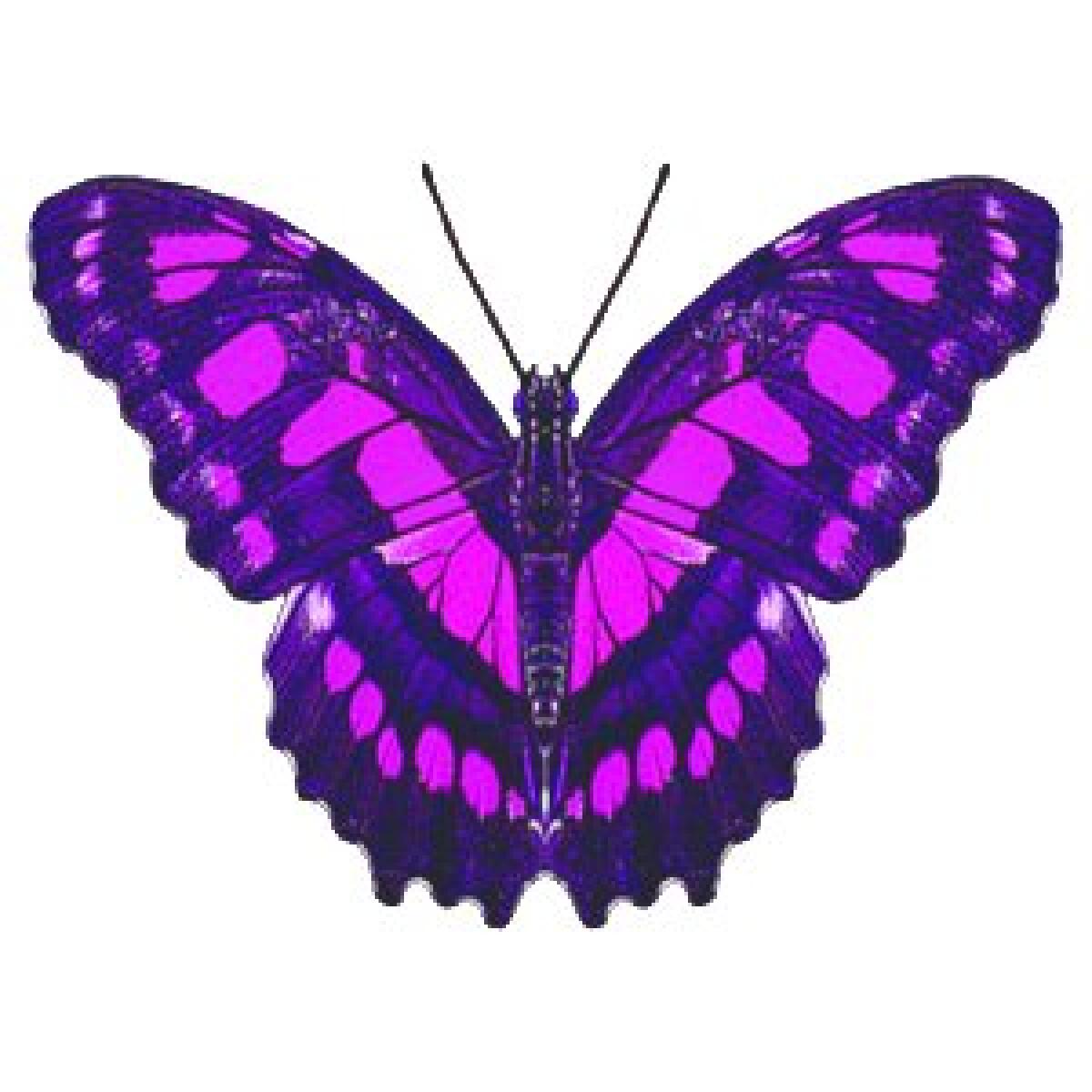 Download Butterfliestry Gratis da Amazon App Shop per Android - 