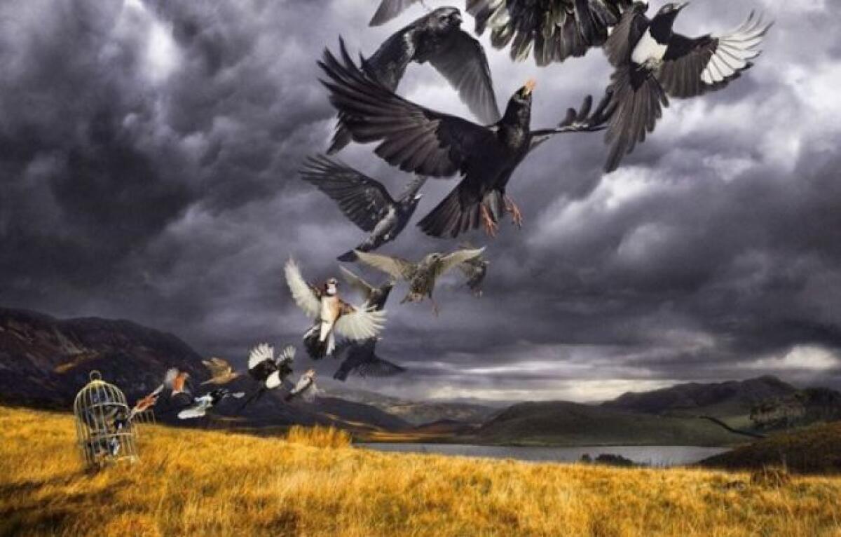 David Gilmour, Rattle That Lock: copertina e tracklist del nuovo album - 