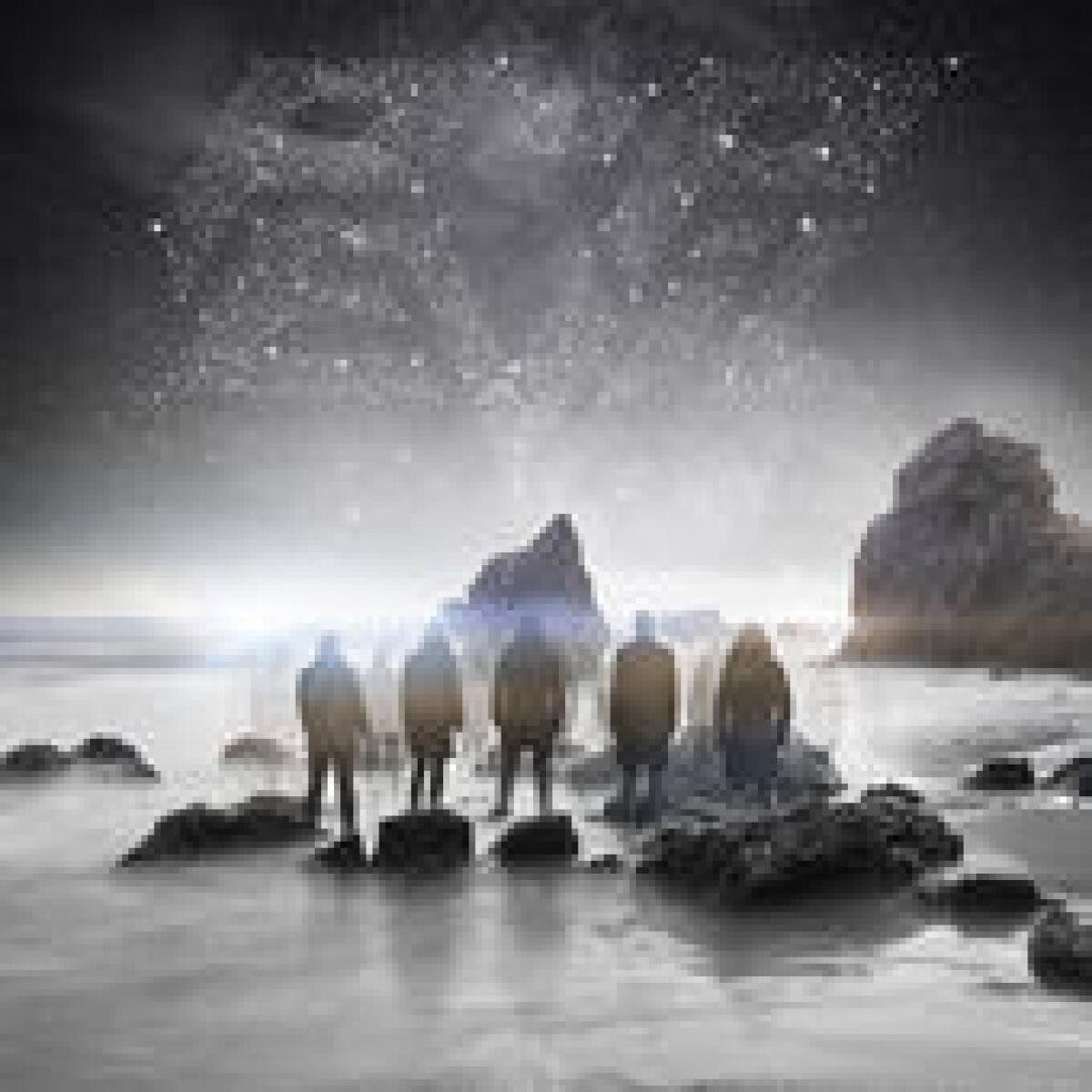 Album Pop Evil - Up Download su iTunes - 