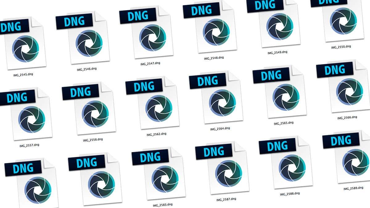 Cosa è il formato RAW per le foto? Pregi e difetti - 