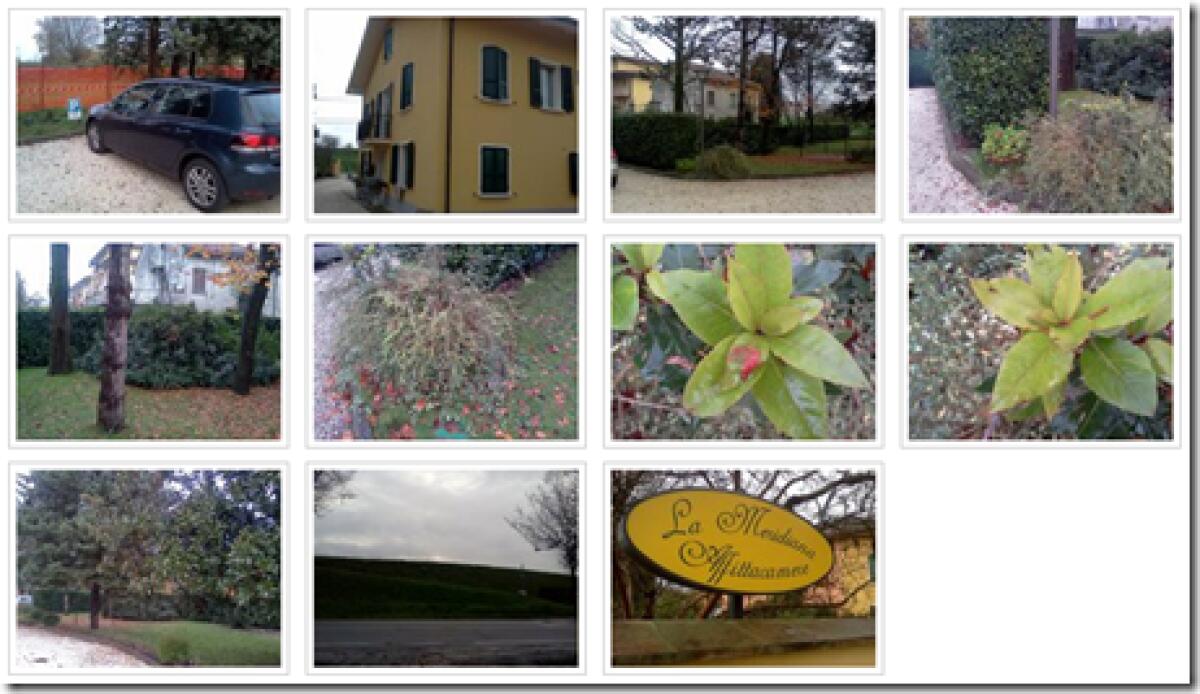 Miglior programma per dipingere al Computer - 