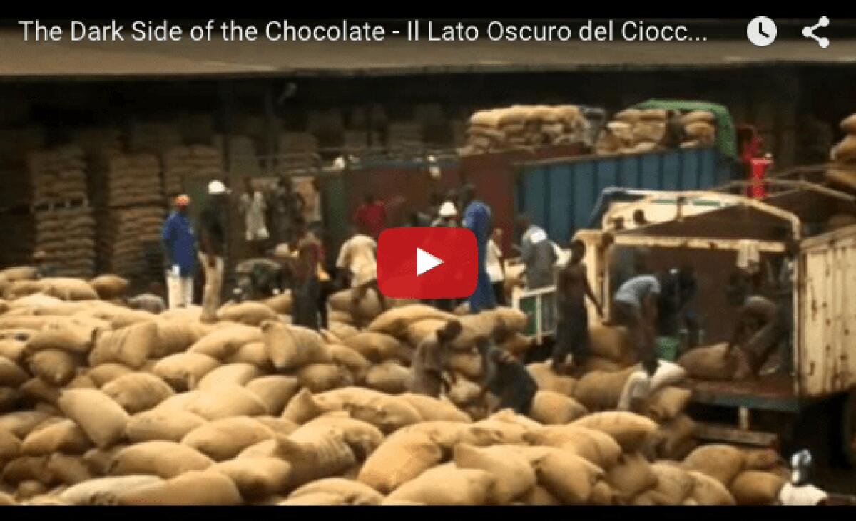 Cosa si nasconde dietro le barrette di cioccolato che mangiamo tutti i giorni? [Video] - 