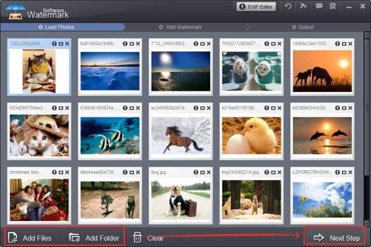 Watermark Software 8.1 gratis fino a domani - 