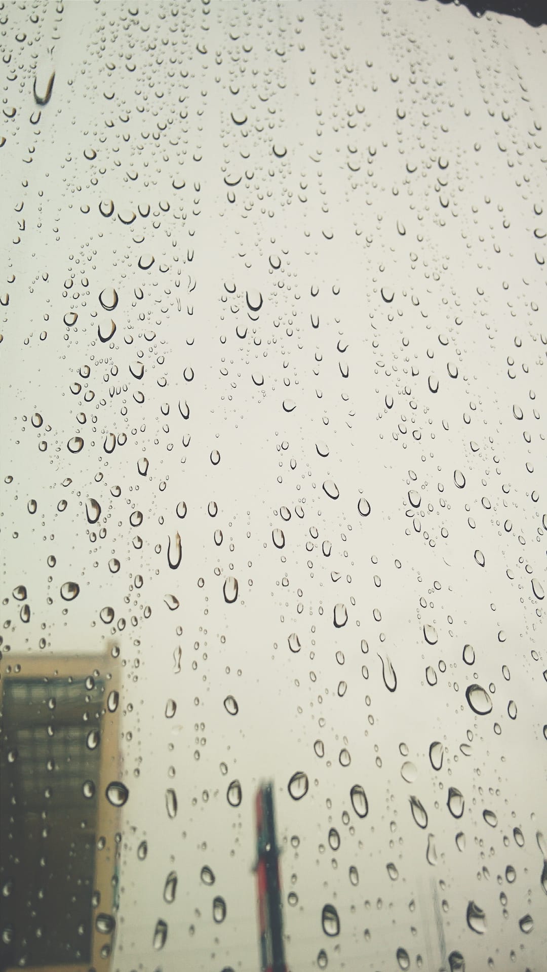 Processed with VSCO with t1 preset