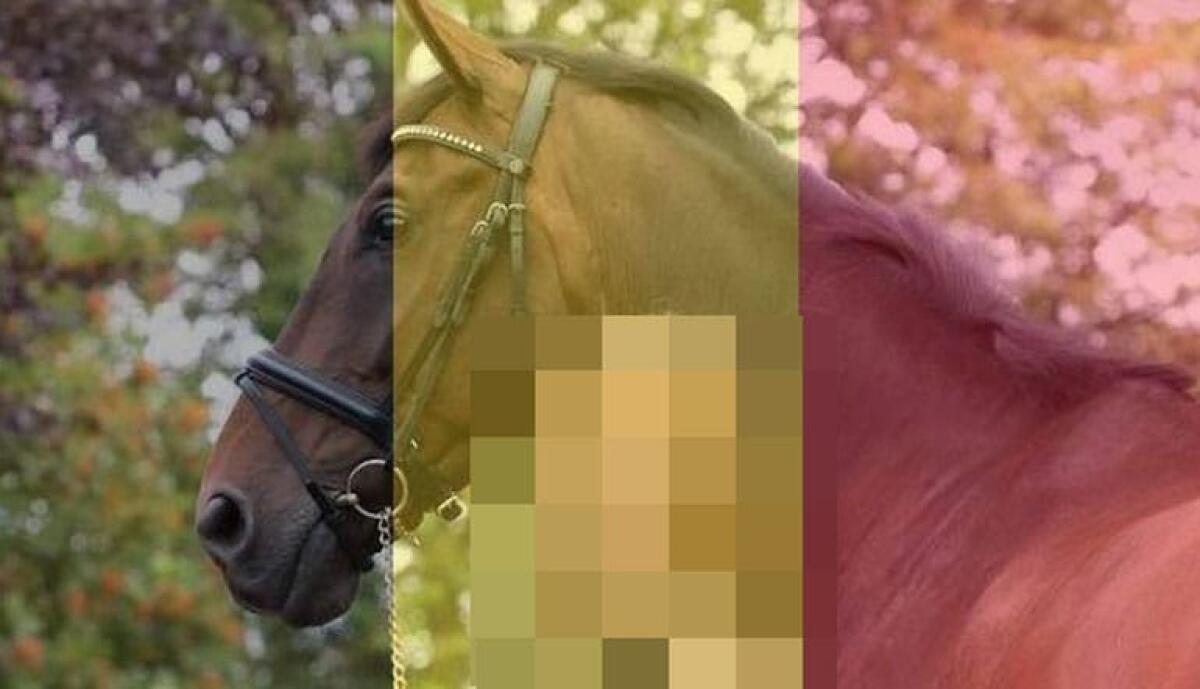 Come mettere la foto profilo con la bandiera del Belgio su Facebook - 