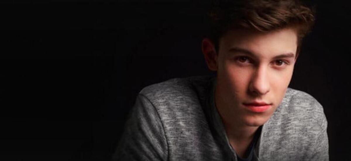 Shawn Mendes, Ruin: testo, parole, traduzione italiana - 