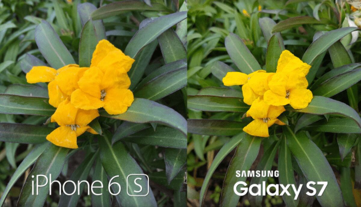 Confronto foto tra Galaxy S7 e iPhone 6S Plus: chi le scatta meglio? - 