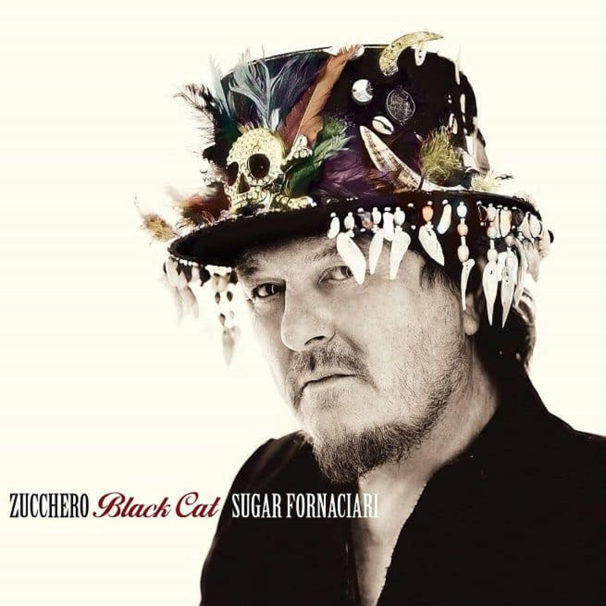 Zucchero, Voci: testo, parole e video ufficiale - 